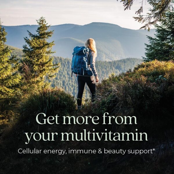 New Chapter Women's Multivitamin for Immune, Beauty + Energy Support with 20+ Nutrients -- Every Woman's One Daily, Gentle on the Stomach, 72 Count - Image 5