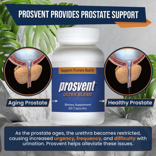 Advanced Prostate Support Ultra - Natural Supplement with Saw Palmetto, Pygeum, Lycopene, Stinging Nettle, Beta Sitosterol, Cranberry and More to Ease Urinary Frequency & Urgency (60 Count) - Image 3