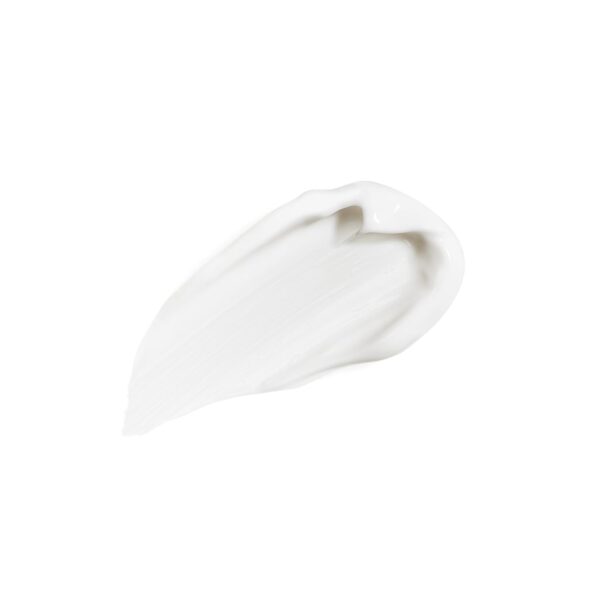 Sisley Paris All Day All Year - 50 mL - Essential Anti-Aging Moisturizer for Stronger, Younger-Looking Skin - Non-Shiny Finish - Image 2