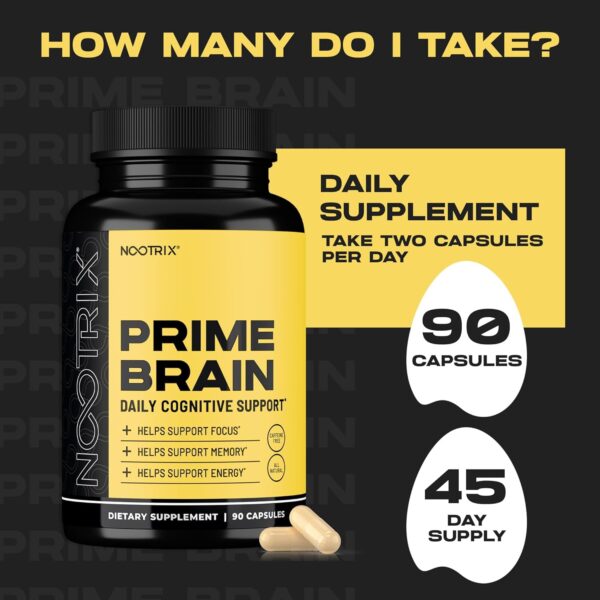 Prime Brain Nootropic Supplement | Supports Memory, Mental Focus, Cognitive Health & Energy | Promotes Healthy Mood & Brain Function | Ginkgo Biloba, Lion's Mane & L Theanine | 90 Capsules - Image 3