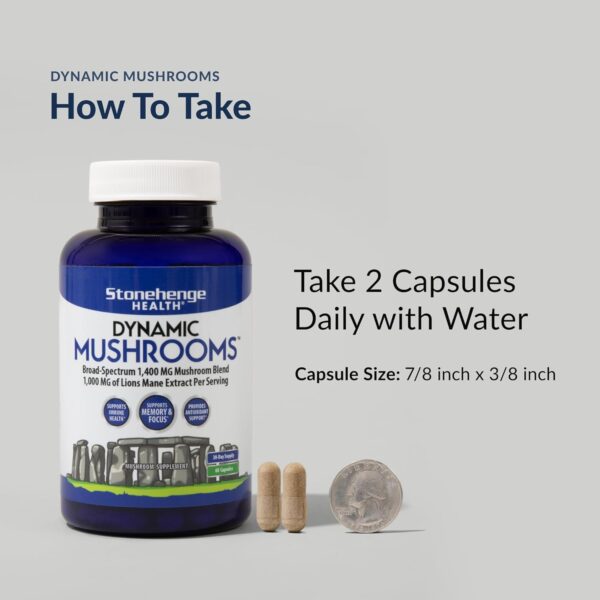 Stonehenge Health Dynamic Mushrooms - 100% Fruiting Bodies & Extracts - Lion’s Mane, Chaga, Maitake, Shiitake, Reishi - Nootropic Brain & Immune System Support - No Mycelium - 60 Veggie Capsules - Image 3
