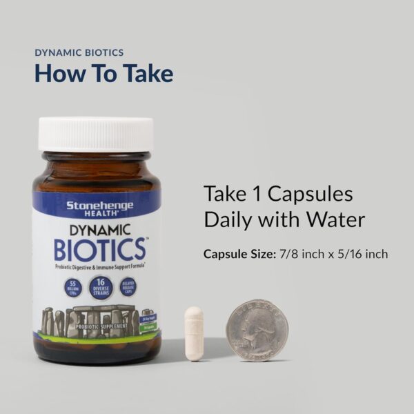 Stonehenge Health Probiotics 55 Billion CFU - 16 Strains, Prebiotic, Synbiotics Dynamic Biotics - Lactobacillus Acidophilus, Delayed Release, Shelf Stable, Non-GMO Gluten Free Veggie Capsule - Image 4