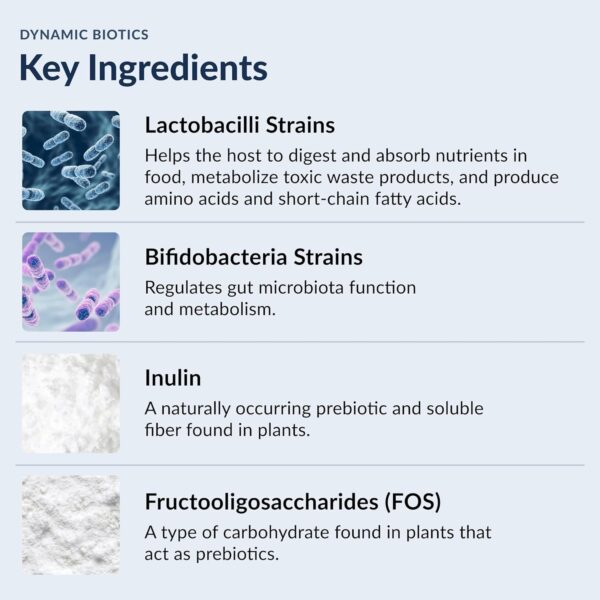 Stonehenge Health Probiotics 55 Billion CFU - 16 Strains, Prebiotic, Synbiotics Dynamic Biotics - Lactobacillus Acidophilus, Delayed Release, Shelf Stable, Non-GMO Gluten Free Veggie Capsule - Image 3