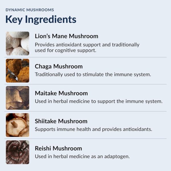 Stonehenge Health Dynamic Mushrooms - 100% Fruiting Bodies & Extracts - Lion’s Mane, Chaga, Maitake, Shiitake, Reishi - Nootropic Brain & Immune System Support - No Mycelium - 60 Veggie Capsules - Image 7