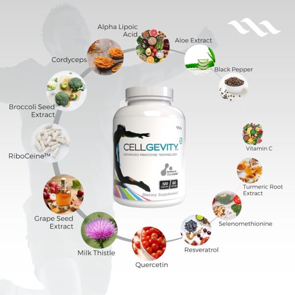 Advanced Riboceine Technology, 120 Vegetable Capsules, 60 Servings - Image 4