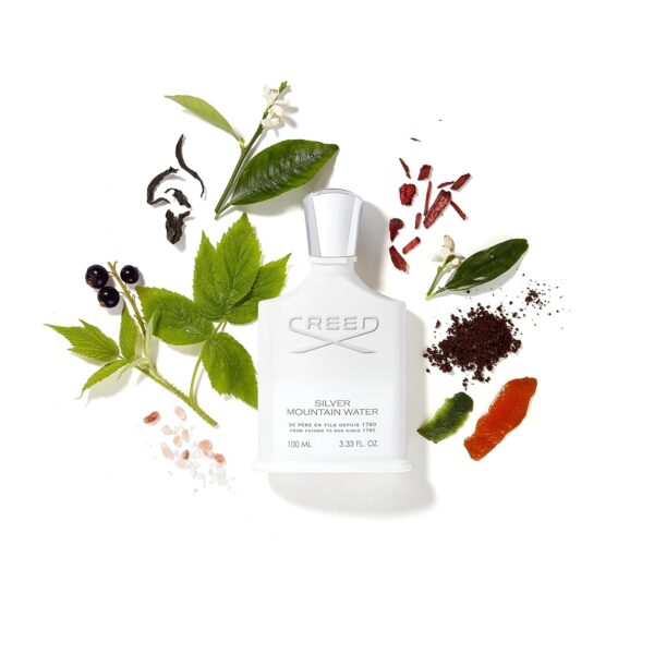 Creed Silver Mountain Water – Men's Luxury Cologne – Citrus, Fruity & Woody Fragrance - Image 4