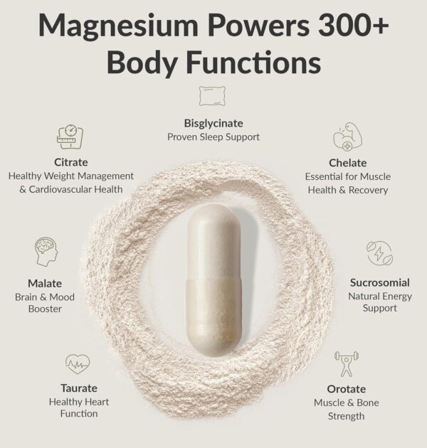 BIOptimizers Magnesium Breakthrough Supplement 4.0-7 Forms of Mg: Glycinate, Malate, Citrate, and More - Natural Support for Sleep and Cognitive Function - 60 Capsules- Calming Vitamins Complex - Image 2