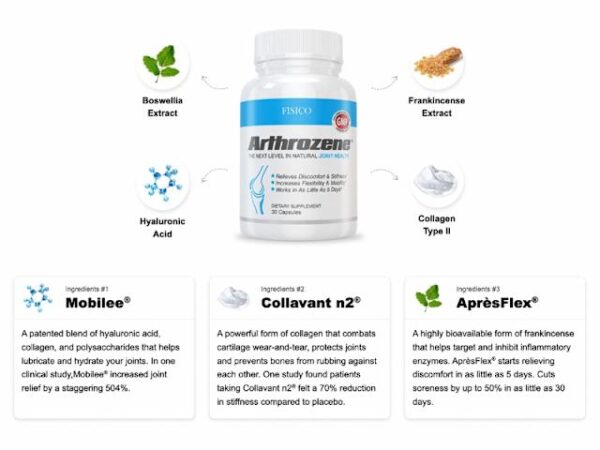 Joint Support Supplement - Promotes Mobility, Flexibility, and Comfort with Hyaluronic Acid, Collagen Type II, and Boswellia - 30 Capsules - Official Fisico Product - Image 2