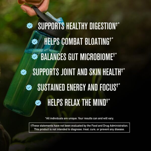 ROUNDHOUSE PROVISION Morning Kick, Zero Sugar Greens Superfood Powder Supplement with Ashwagandha, Collagen, Probiotics, Debloat Drink, 30 Servings (Strawberry Lemonade) by Chuck Norris - Image 5