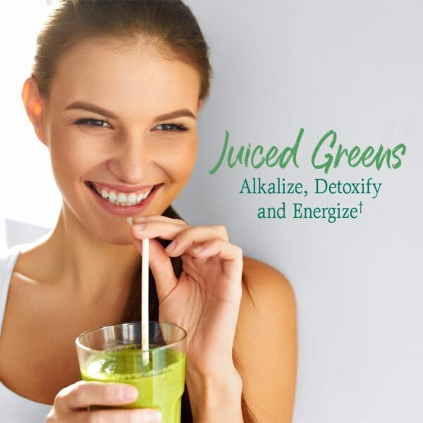 Garden of Life Raw Organic Perfect Food Green Superfood Juiced Greens Powder - Original Stevia-Free, 30 Servings, Non-GMO, Gluten Free Whole Food Dietary Supplement, Alkalize, Detoxify, Energize - Image 7