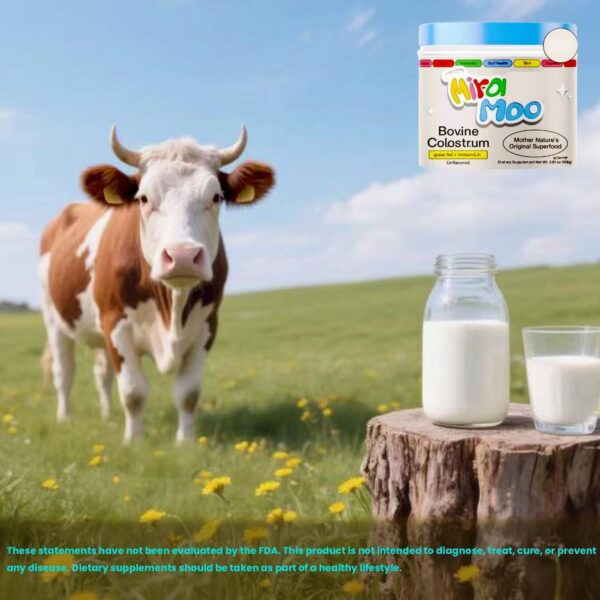 Mir~acle Moo Bovine Co.lostr.um | Immune Support and Gut Health | Unflavored - 108g(1 Pack) - Image 2