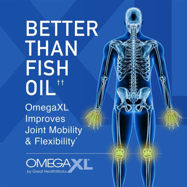 Omega-XL Joint Support Supplement - Natural Muscle Support, Green Lipped Mussel Oil Extract- 120 SoftGel Pills (Pack of 1) - Image 3