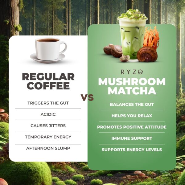 RYZE SUPERFOODS Mushroom Matcha, USDA Organic with 6 Adaptogenic Mushrooms and Ceremonial-Grade Matcha for Energy, Focus, Digestion, Immunity with Turkey Tail, Shiitake, Lion's Mane, 30 servings - Image 3