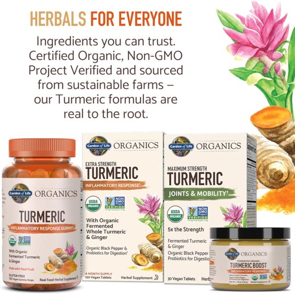 Garden of Life Organics Golden Milk Recovery & Nourishment Powder - 44mg Turmeric Curcumin (95% Curcuminoids), Ashwagandha - Organic Non-GMO Vegan & Gluten Free Herbal Supplements, 30 Servings - Image 3