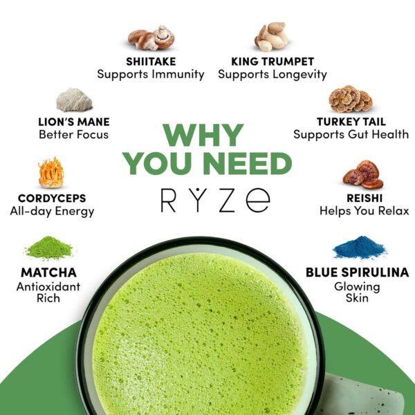 RYZE SUPERFOODS Mushroom Matcha, USDA Organic with 6 Adaptogenic Mushrooms and Ceremonial-Grade Matcha for Energy, Focus, Digestion, Immunity with Turkey Tail, Shiitake, Lion's Mane, 30 servings - Image 4