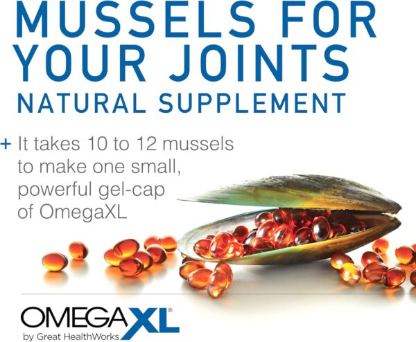 OmegaXL Joint Support Supplement - Natural Muscle Support, Green Lipped Mussel Oil, Soft Gel Pills, Drug-Free, 300 Count - Image 4