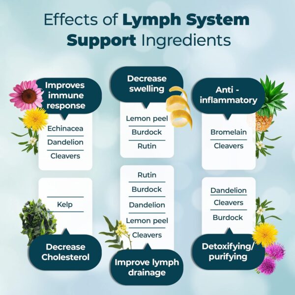 PUREHEALTH RESEARCH Lymph System Support Supplement - Lymphatic Drainage Supplement with Dandelion Extract, Cleavers, Burdock Powder - Reduce Swelling and Cleanse Lymph - 1 Bottle, Brown - Image 3