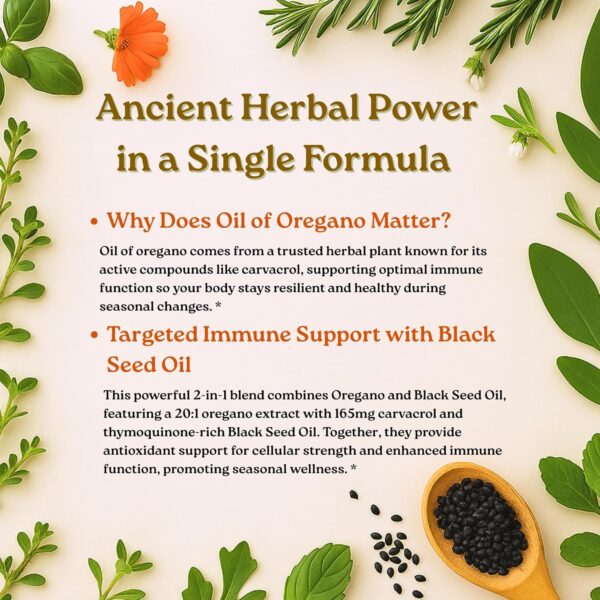 Micro Ingredients Oil of Oregano Softgels, 300 Count | 2 in 1 Formulated with Black Seed Oil, 4X Strength Carvacrol & Thymoquinone | Plant Based, Non-GMO, & Immune Support - Image 5
