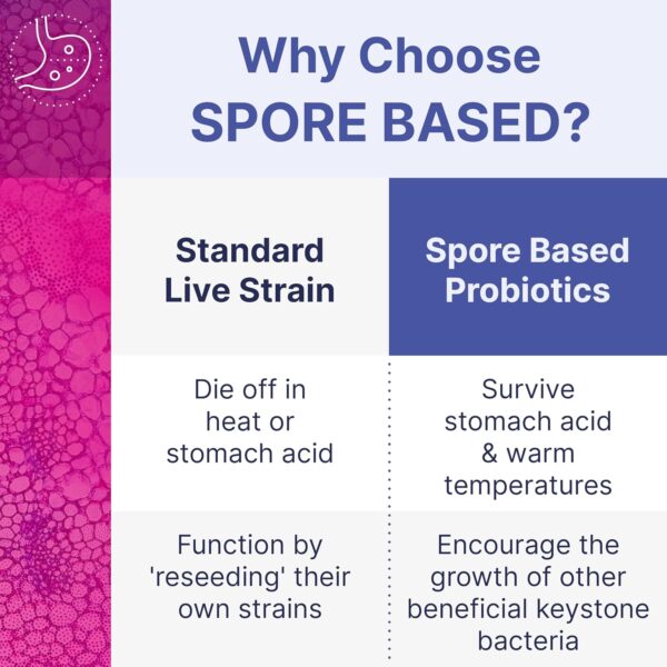 Microbiome Labs MegaSporeBiotic Probiotics for Women & Men - Spore Based Probiotics for Digestive Health - Shelf Stable & Travel-Friendly (60 Capsules) - Image 5